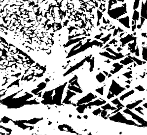 Micro-structure of same steel sho-wing part of ferrite 
            network, Widmanstätten and feathery structure