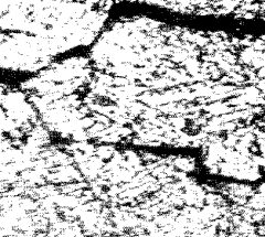 Martensite and quench crack. Steel (C, 0,5) quenched in water from 900°C